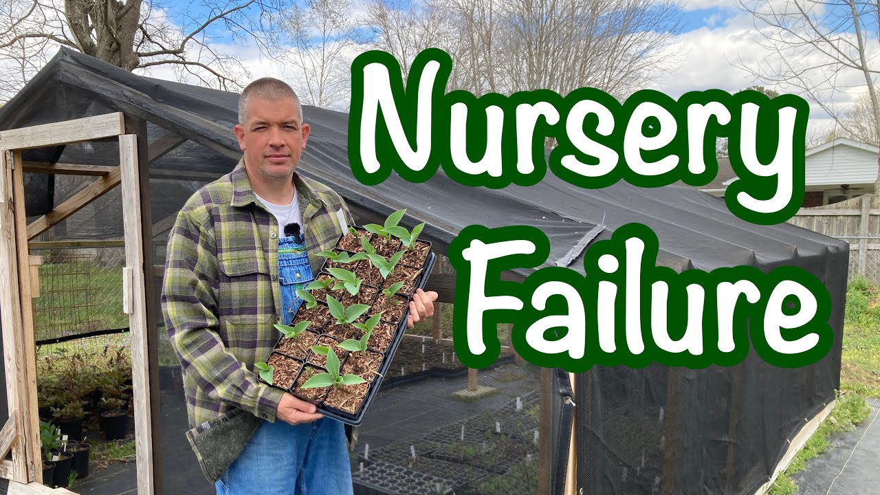 5 Reasons Your Nursery Will Fail