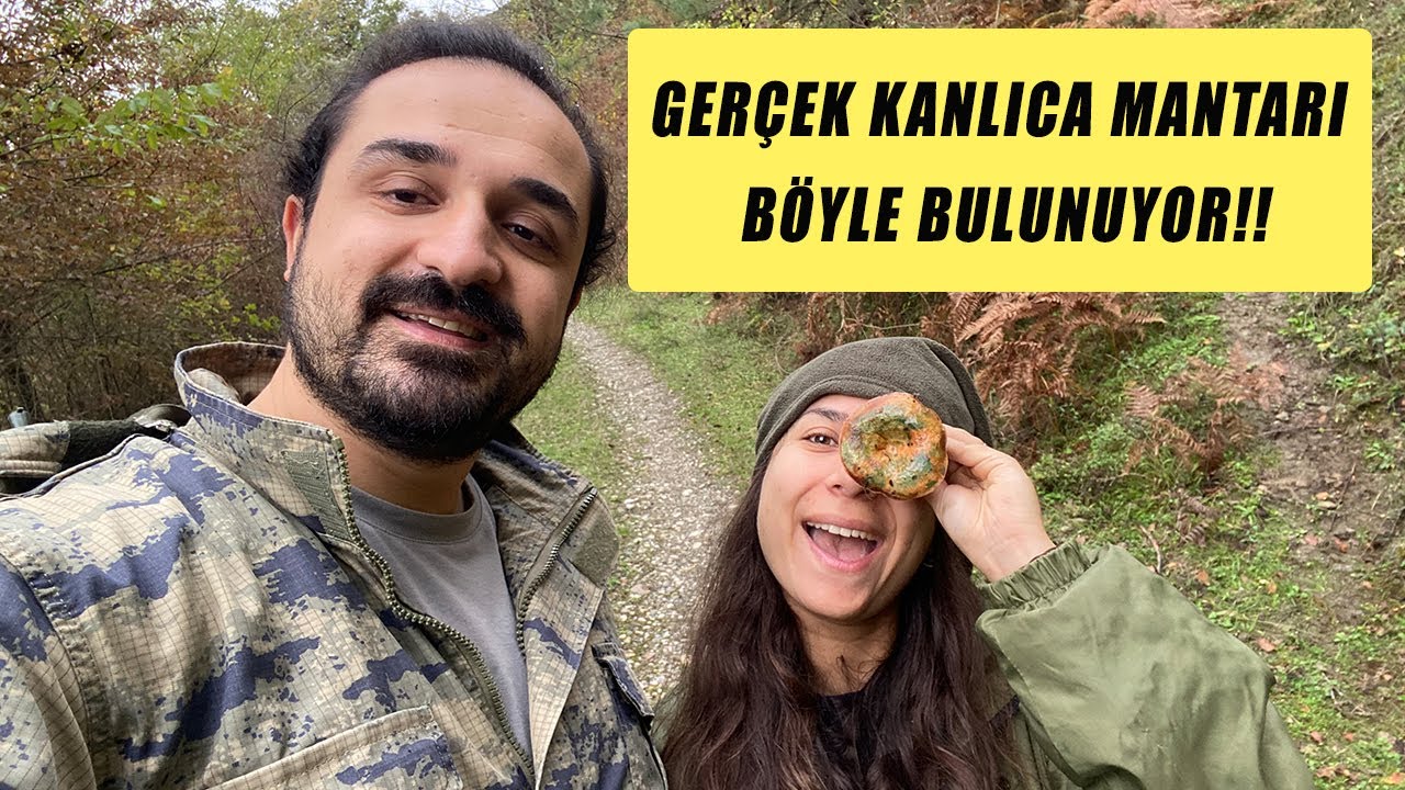 Kanlıca Mantarını İlk Kez Mi Görüyoruz? Bu Sefer Yenice'de Mantar Avındayız!