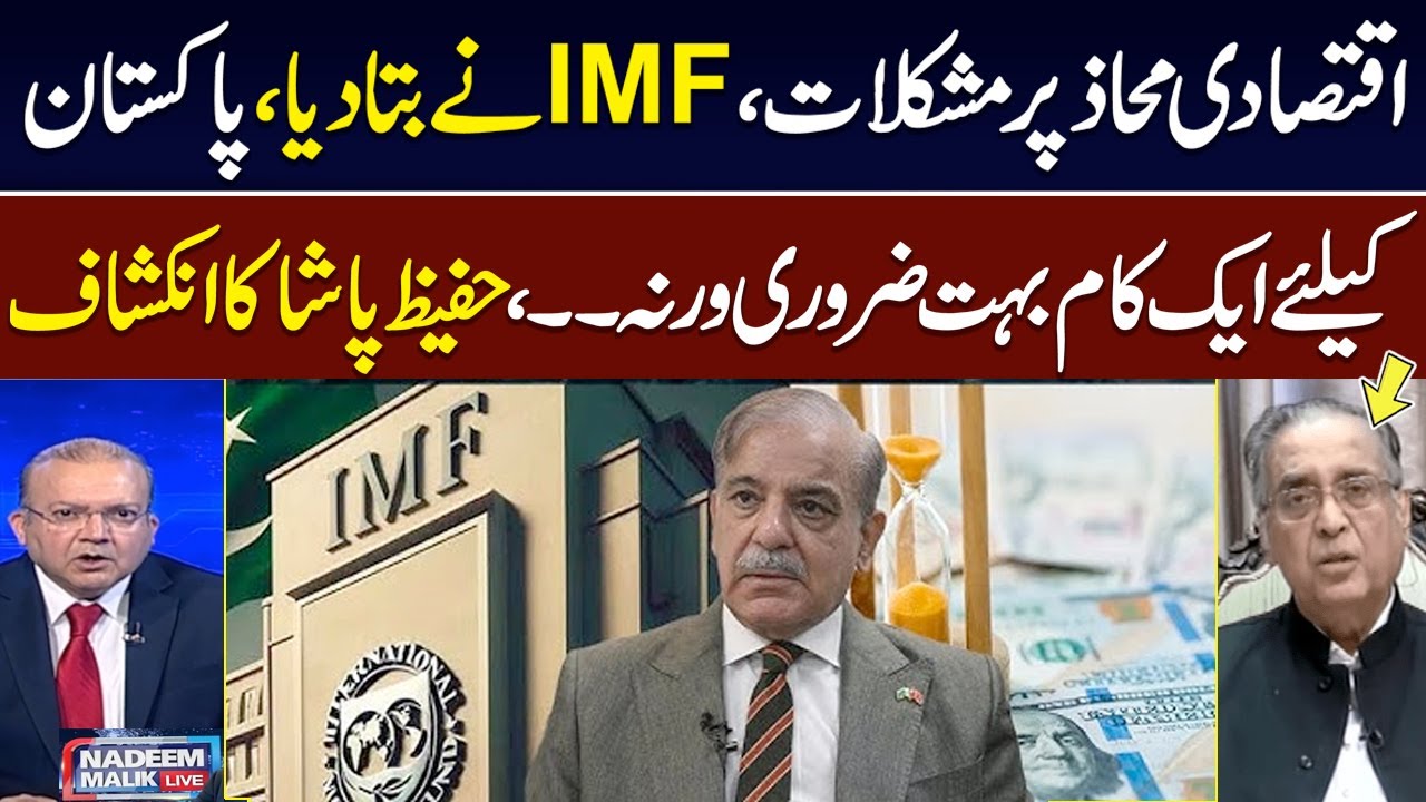 IMF Report on Corruption, Governance | Hafeez Pasha Exclusive Talk with Nadeem Malik