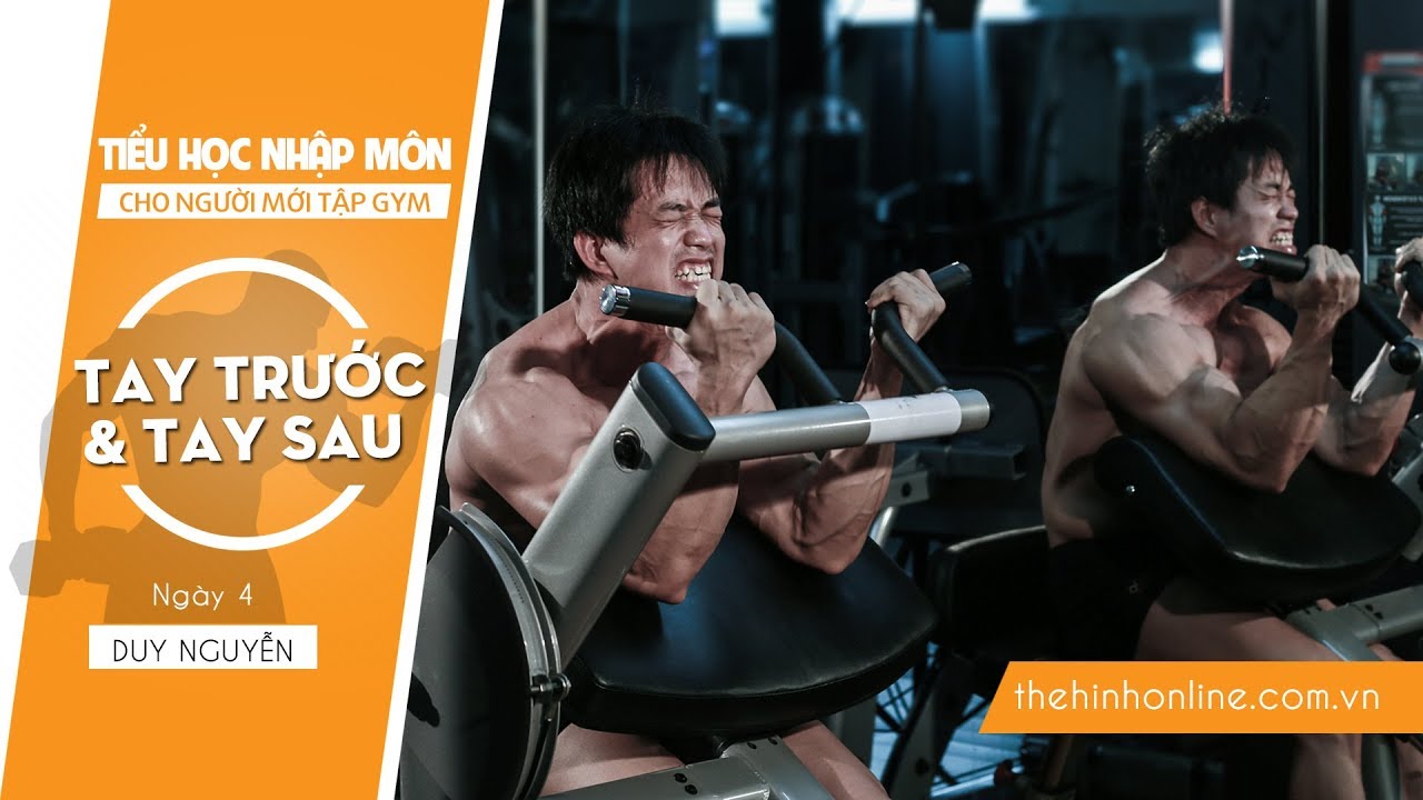 Hướng dẫn tập chuột khủng tay to khỏe cho người mới | THNM
