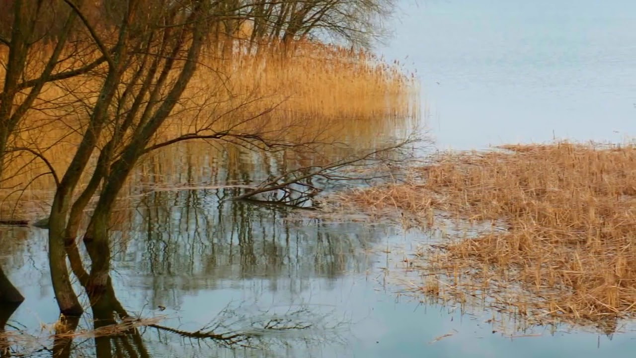 Turawa - Zbiornik retencyjny z 1938 r. Ostoja Sandacza i wielu gatunków ryb oraz ptactwa.
