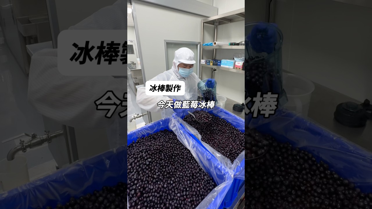 ［冰棒製作]今天來做藍莓冰棒這是美國華盛頓州的藍莓這裡盛產藍莓 藍莓的品質很好 甜中帶酸又大顆很適合冬天拿來做水果冰棒#藍莓#冰棒#冰淇淋