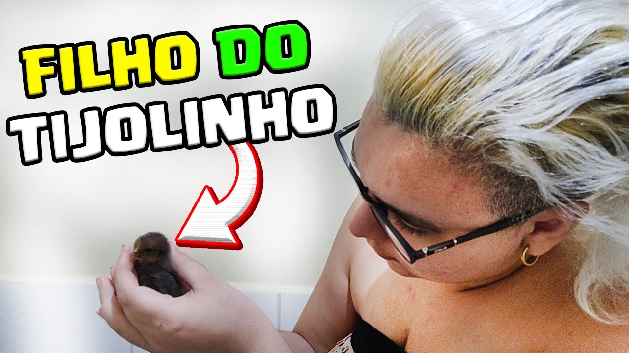 NASCERAM OS FILHOS DO TIJOLINHO 🐣