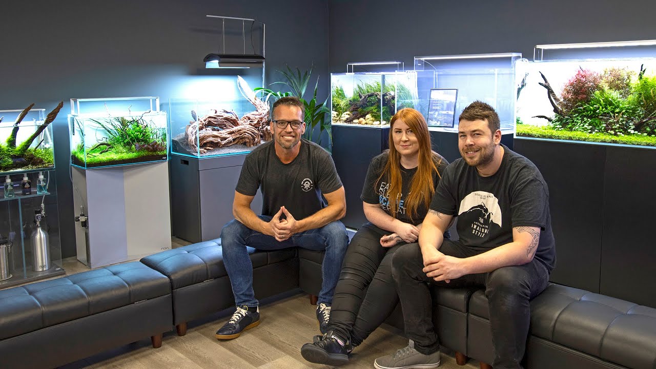 THE BIGGEST UK AQUASCAPING SHOP (they sacrificed everything!)