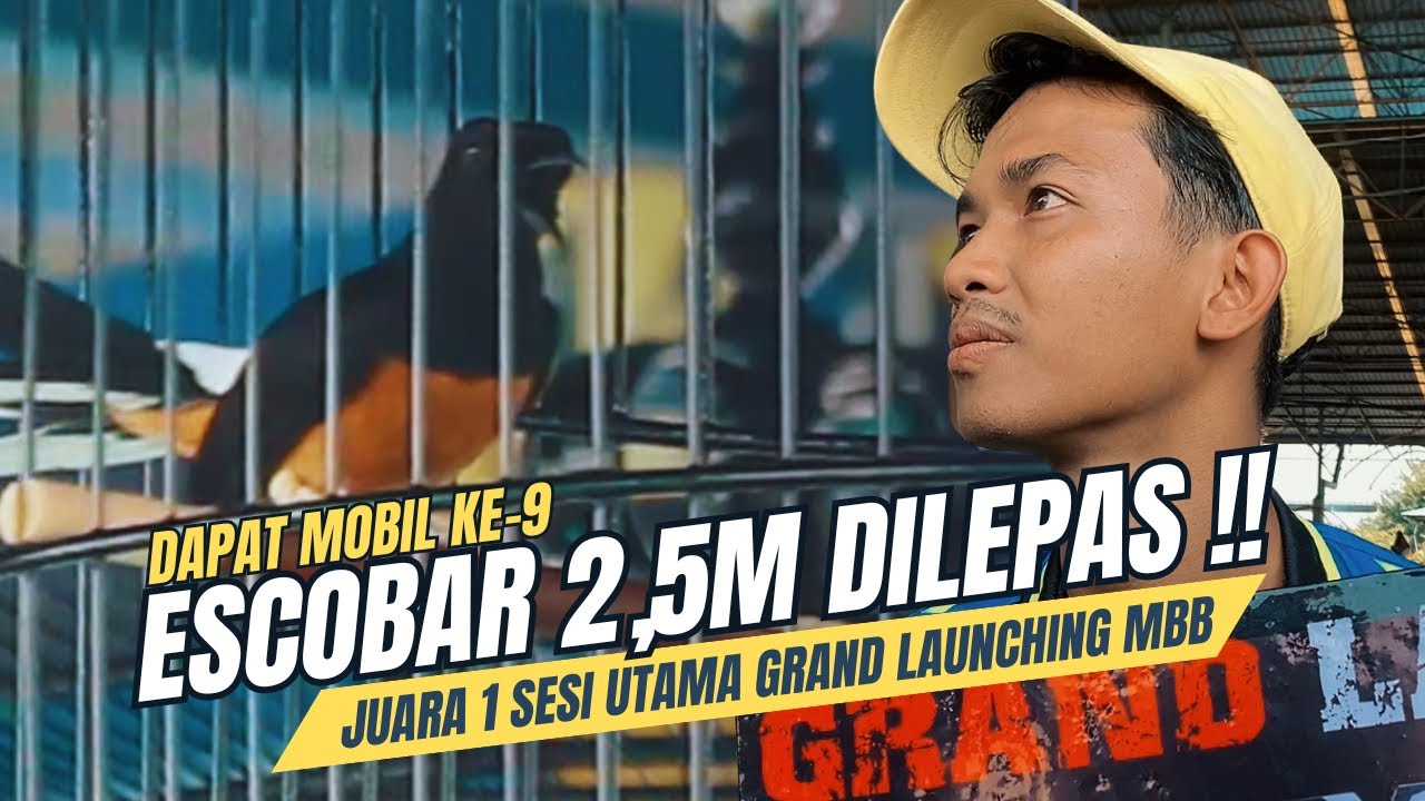 2,5M Silahkan Ambil ESCOBAR‼️Bawa Pulang Mobil ke-9