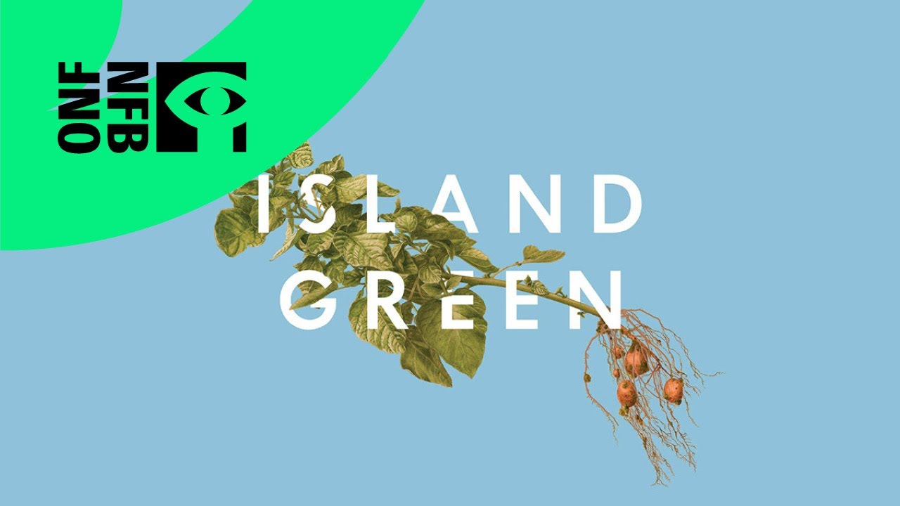 ISLAND GREEN | Full Documentary | National Film Board of Canada