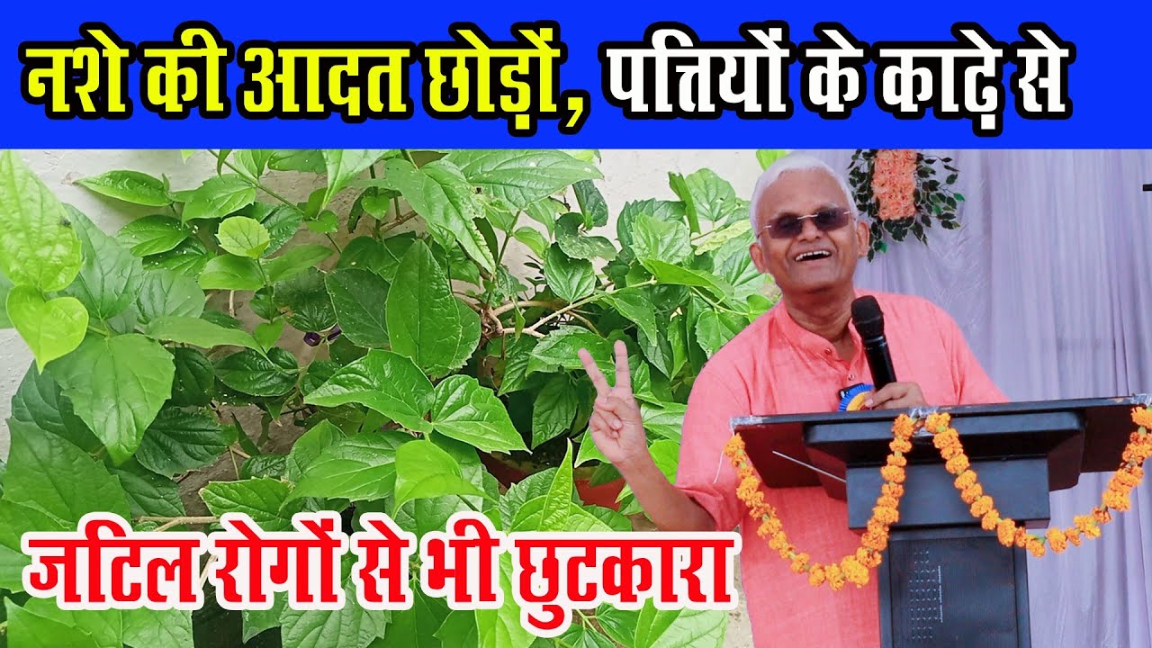 नशे की आदत छोड़ो पत्तियों के काढ़े से ।।dr khadar vali kashayam।dr khadar vali question and answer
