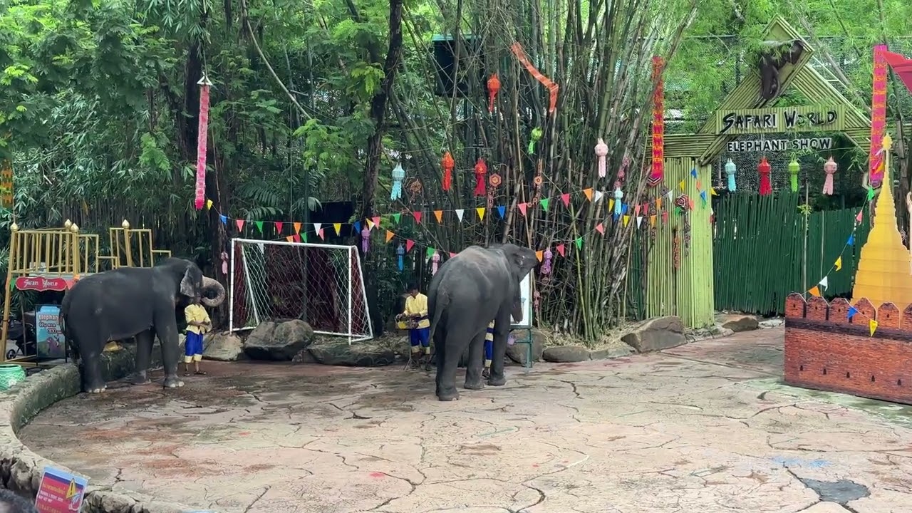 Elephant funny show part-2 in Safari world, Thailand 🇹🇭 