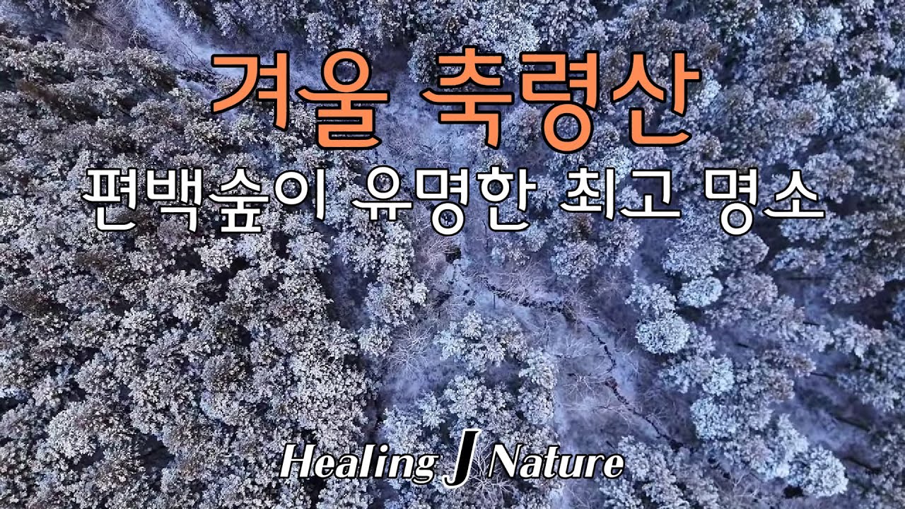 겨울 축령산/힐링 자연 풍경 영상
