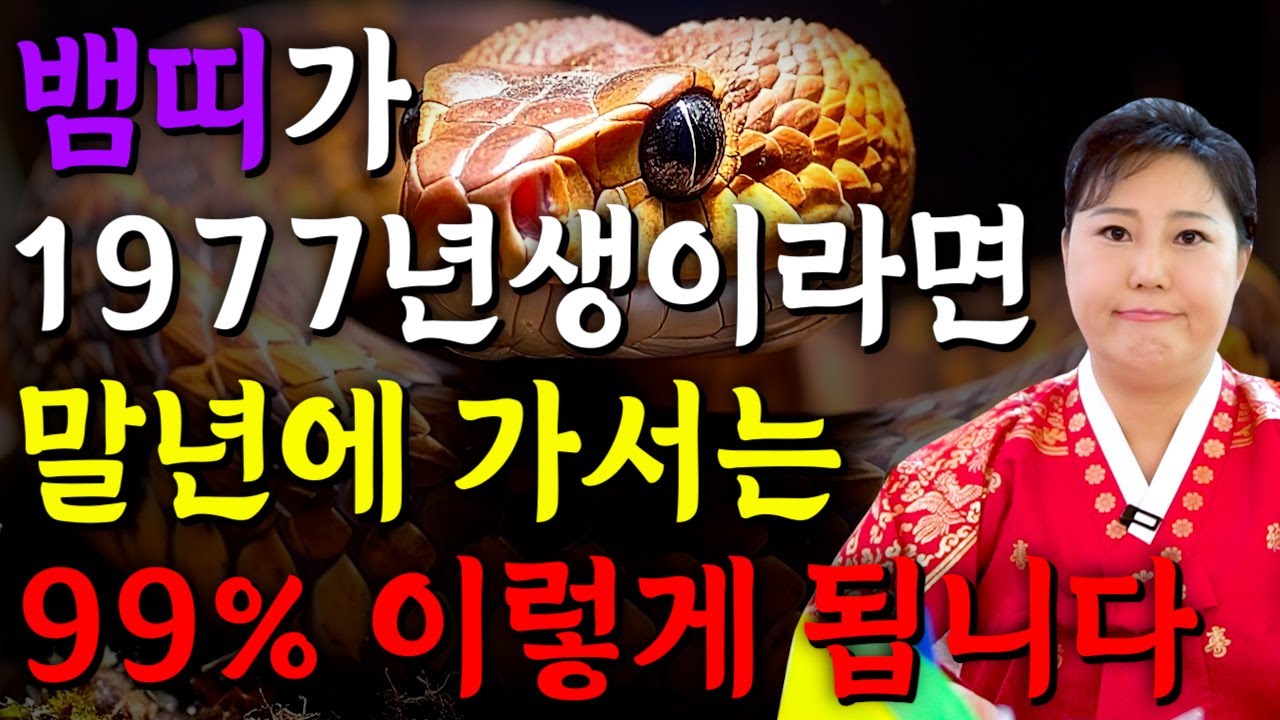 뱀띠 반드시 이렇게 됩니다..!! 2026년 1977년생 49세 뱀띠운세 배신당했던 모든날을 보답받습니다! 77년생 뱀띠의 운명과 평생의 운세 / 2026년 병오년 49세 뱀띠운세