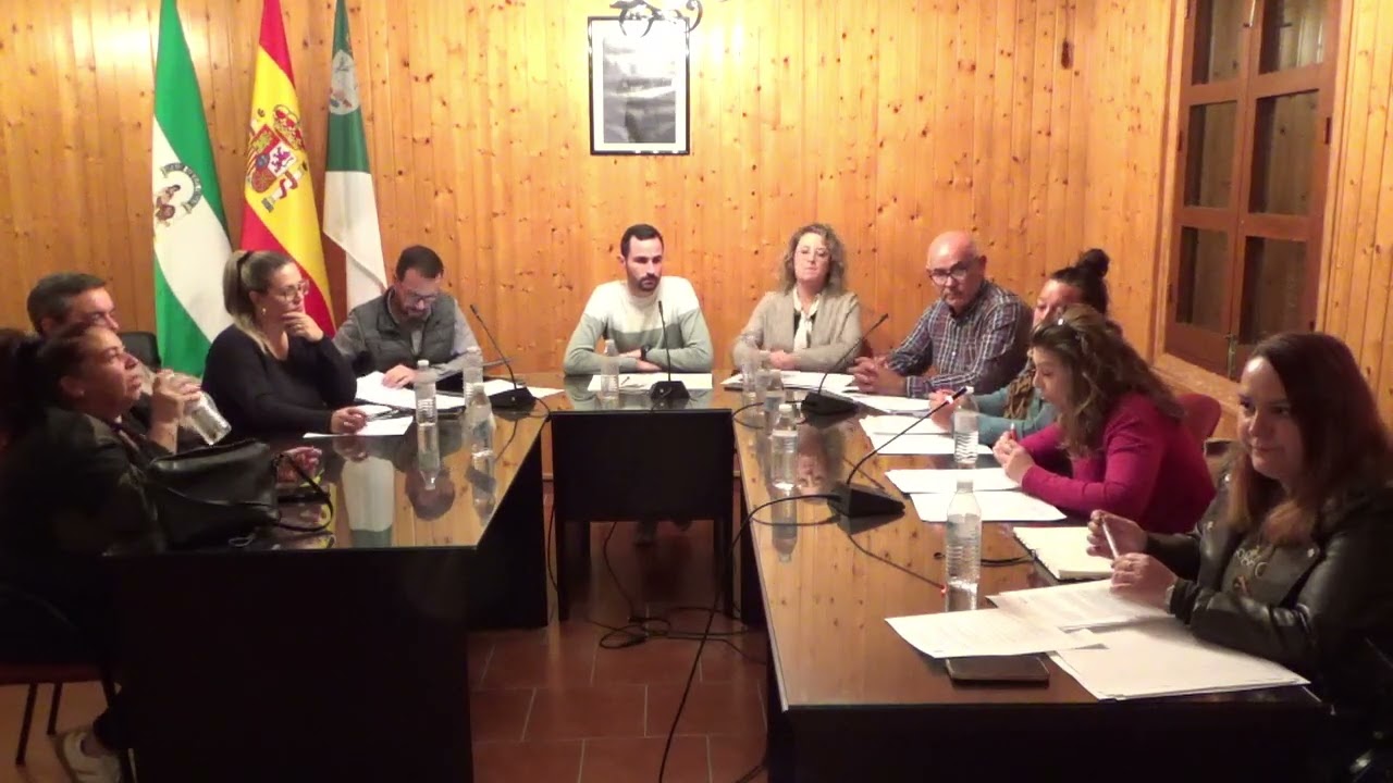 PLENO ORDINARIO DEL 12/11/2025