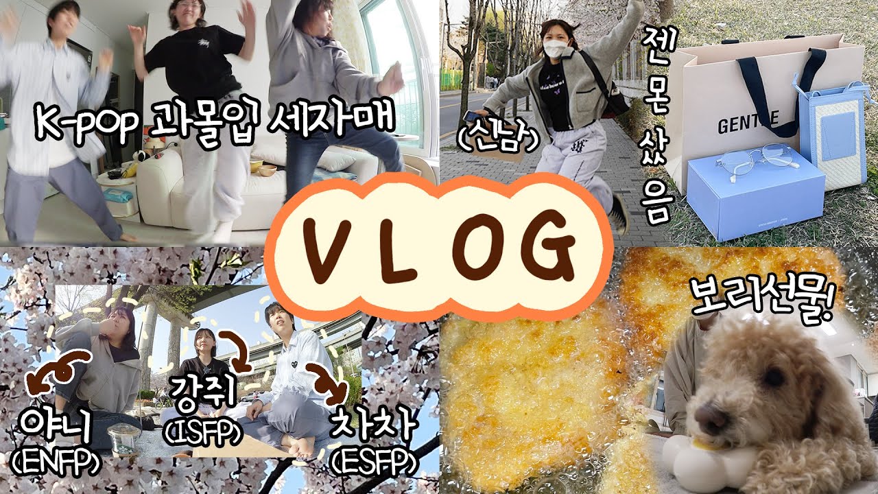 한시도 가만히 있지 않는 세상활발한 일상 모음집 VLOG (젠몬안경삼,케이팝과몰입모임,보리장난감선물,생일상차리기)