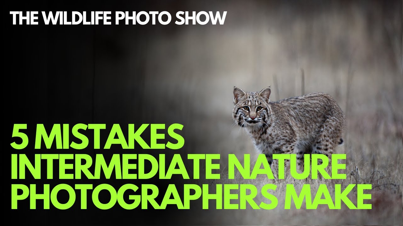 5 Mistakes Intermediate Nature Photographers Make