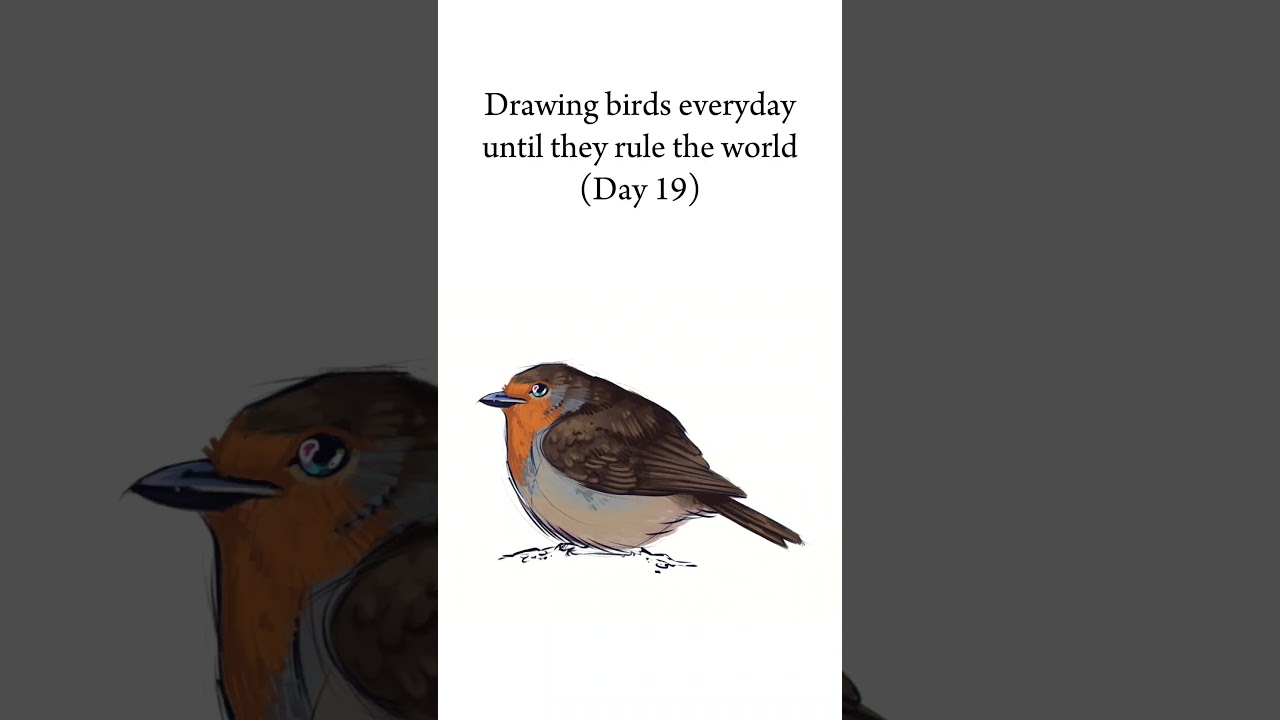 The borb is here! The european robin🍅 #artchallenge #birb #birdart