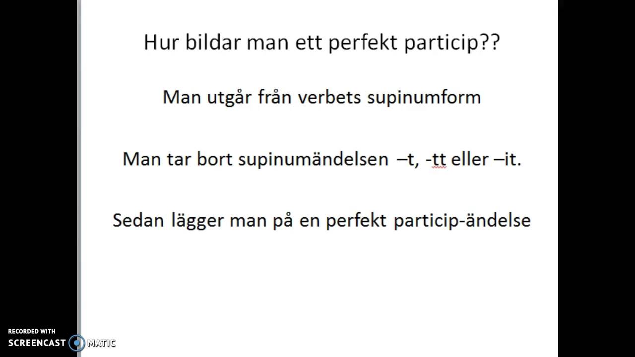 EvasSfi Perfekt Particip 1