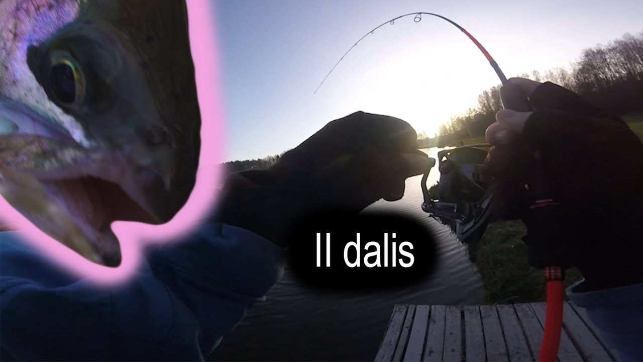 MAN KIMBA - Arvydų upėtakiai vartikėmis II dalis 💪🤩