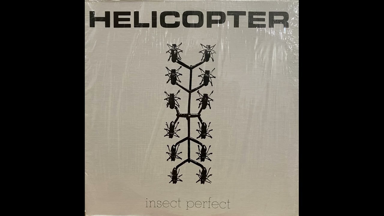 Helicopter - Insect Perfect (1981)