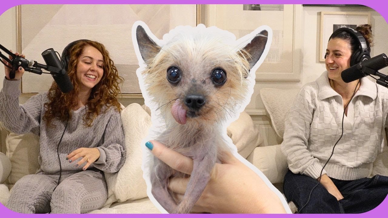 Introducing My New Foster Dog + Our Thoughts on Peanut & Fred