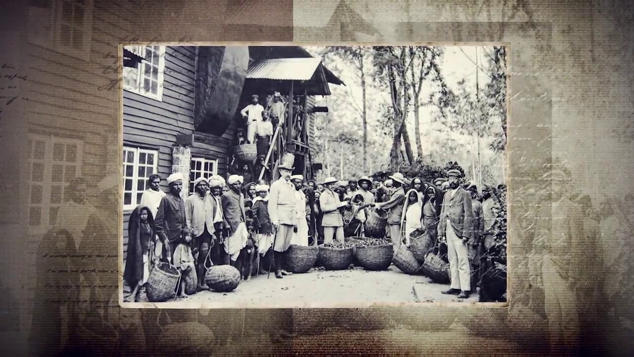 History of Ceylon Tea