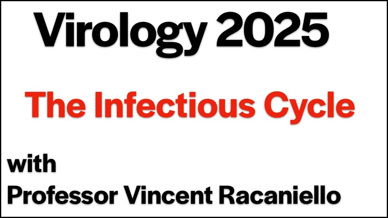 Virology Lectures 2025 #2: The Infectious Cycle
