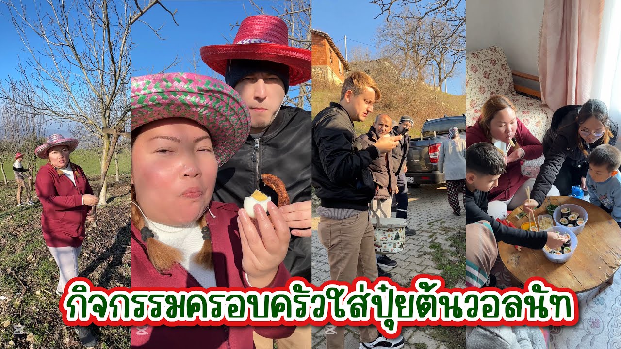 Vlog.441 ถึงเวลาไปใส่ปุ๋ยต้นวอลนัทที่บ้านสวนบนภูเขา