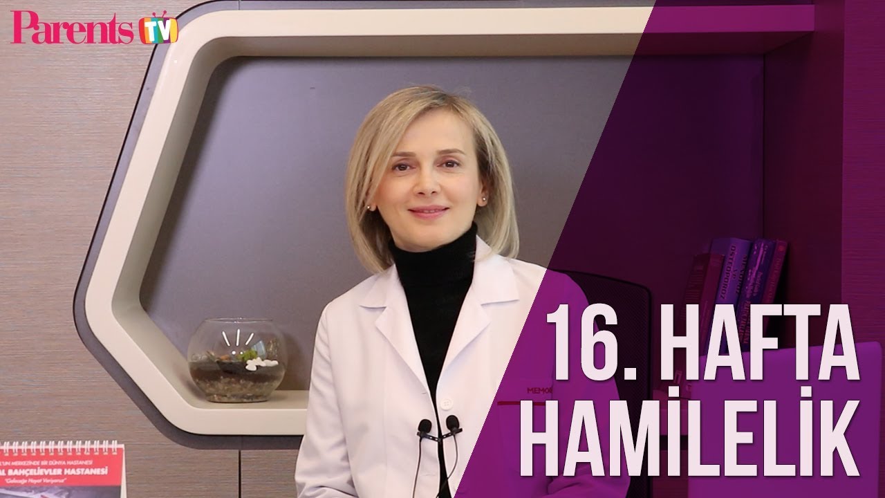 Parents TV - 16. Hafta Hamilelik