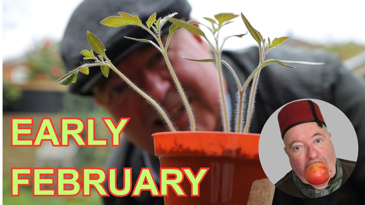 Early February Veg growing update