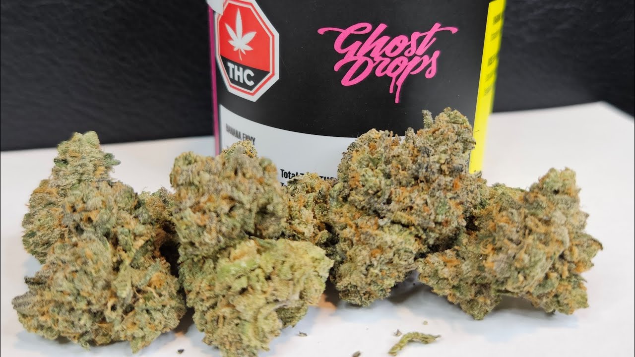 Strain Review Banana Envy By Ghost Drops
