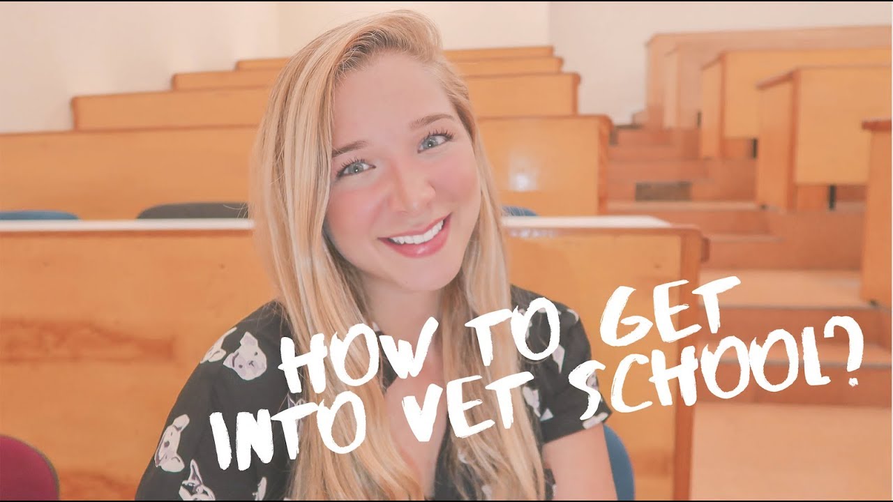 HOW TO GET INTO VET SCHOOL