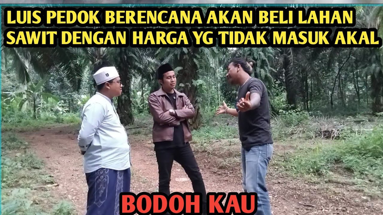 🔴BANG BECK TERBARU||BIADAP KAU PEDOK INGIN BELI LAHAN SAWIT DENGAN HARGA YG TIDAK MASUK AKAL