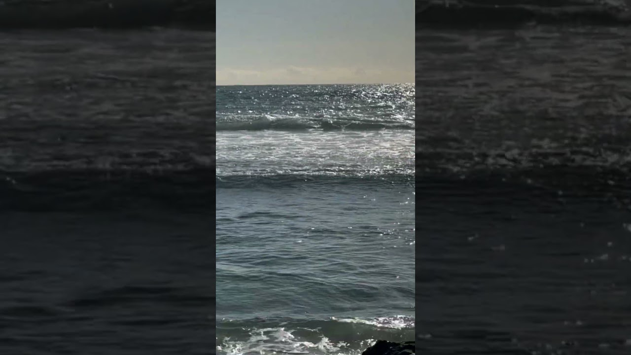 Stone and waves 🌊. #imaginedragons #concert #coldplay #rock #music #austravel #seabeach  #australia