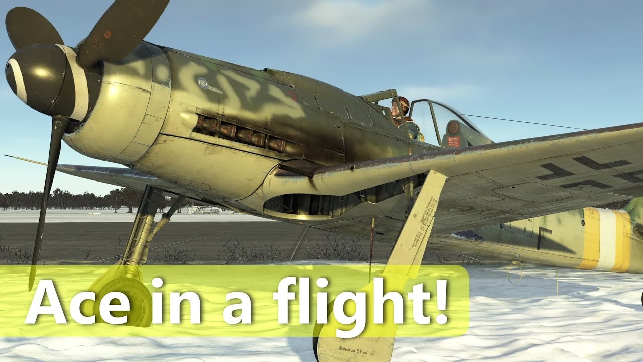 Дора Карнаж — ас в звене +2 — Fw 190 D-9