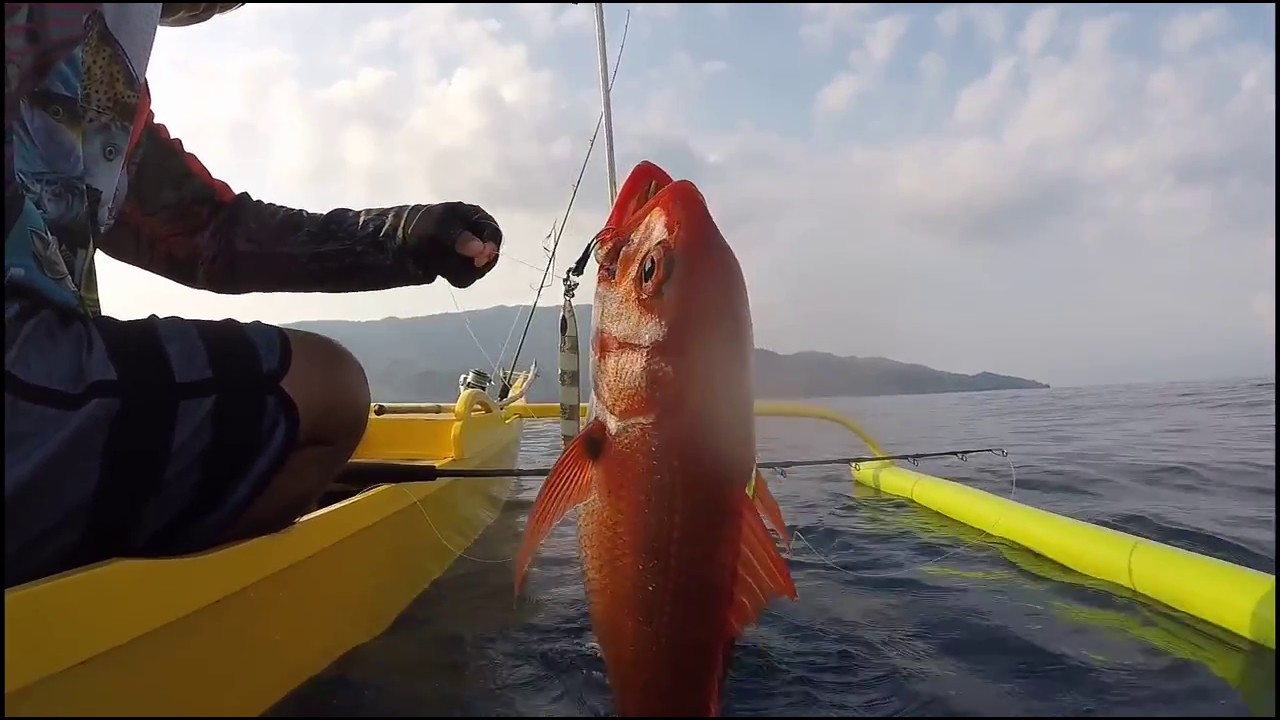 Big One strike And Ruby snapper