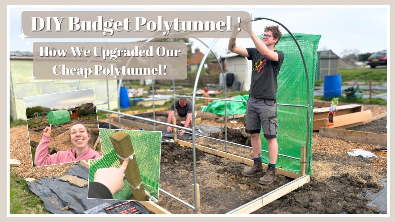 How To Reinforce a Cheap Polytunnel! 💰 DIY Budget Polytunnel Build & Upgrades | Allotment Vlog #77
