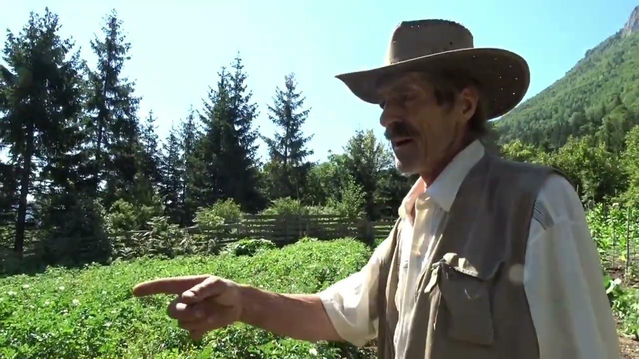 Robinzonove Čarolije