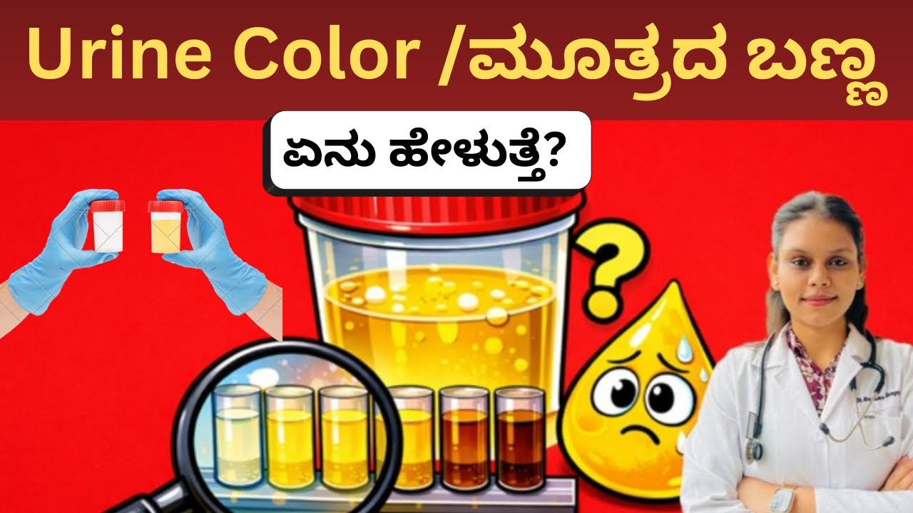 Urine color/ಮೂತ್ರದ ಬಣ್ಣ. What it indicates #urine #urinehealth #kruthihealthtips