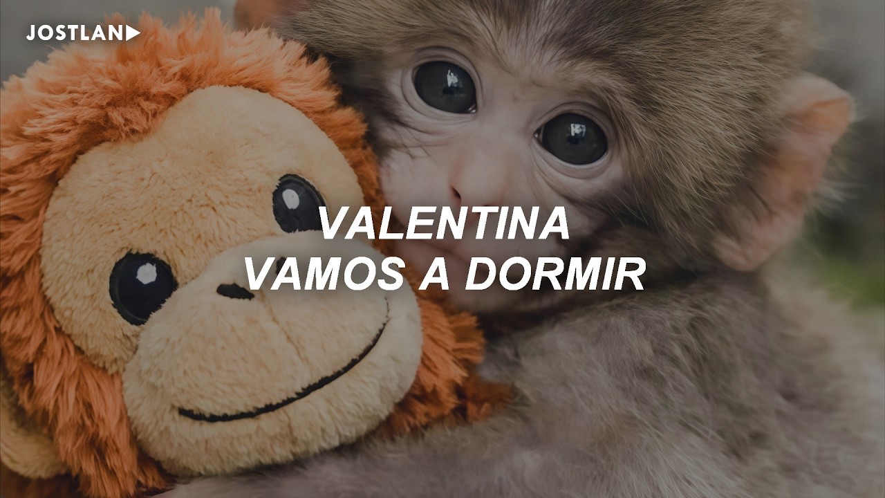 Carla Morrison - Valentina (Letra) | Punch The Monkey
