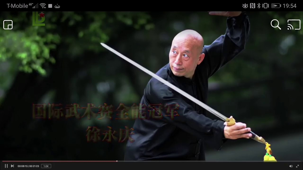 周树生大师LHBF拳16式＋徐永庆大师剑