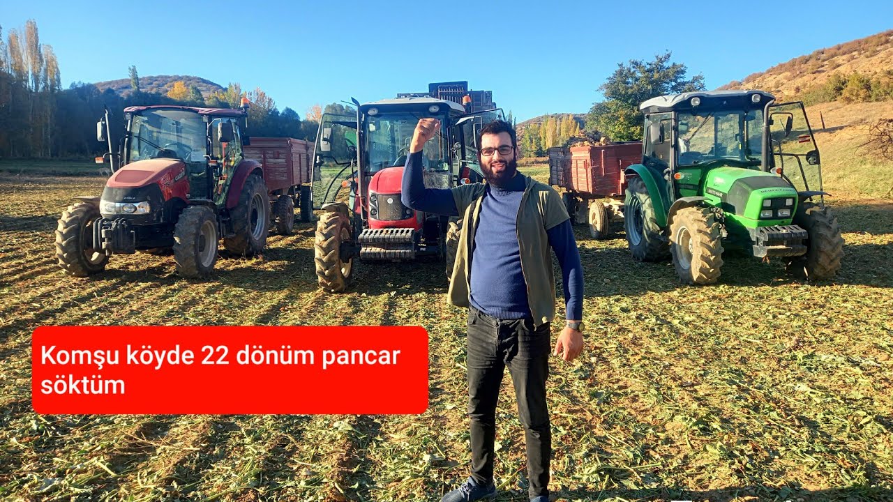 komşu köyde pancar sökümü