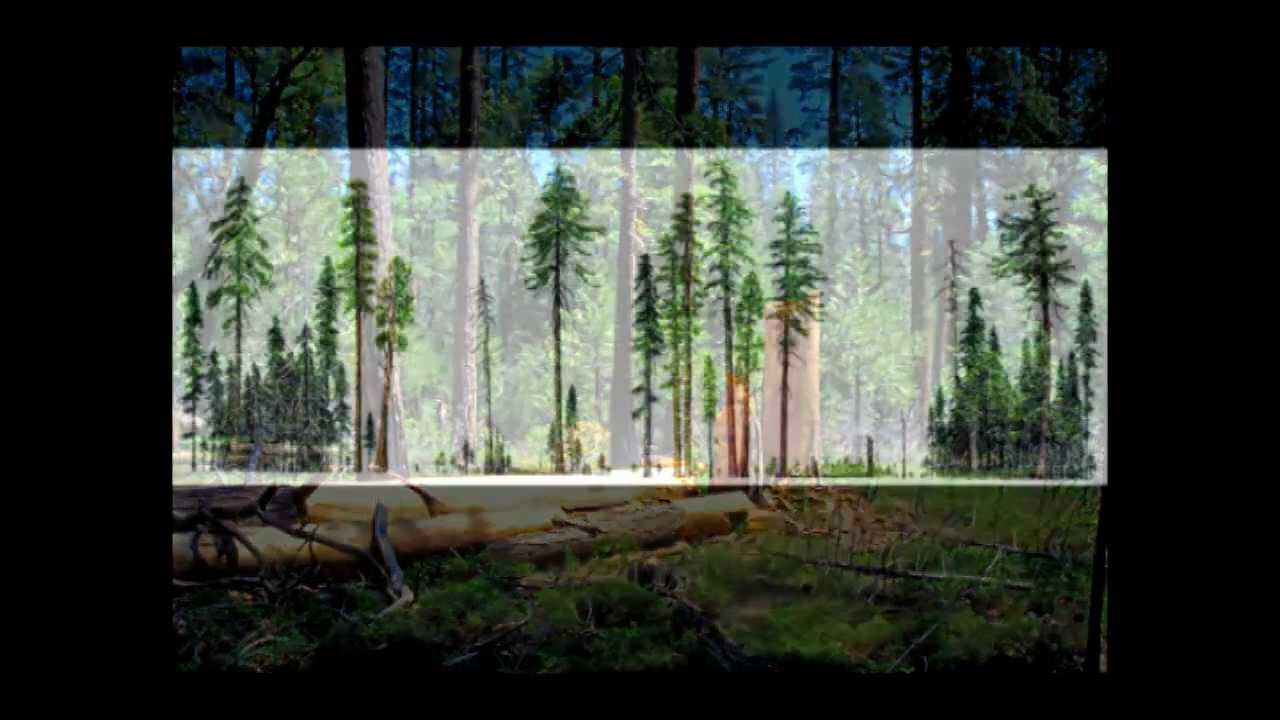 Forestry Talks - Jerry Franklin - Ecological forestry - a global view