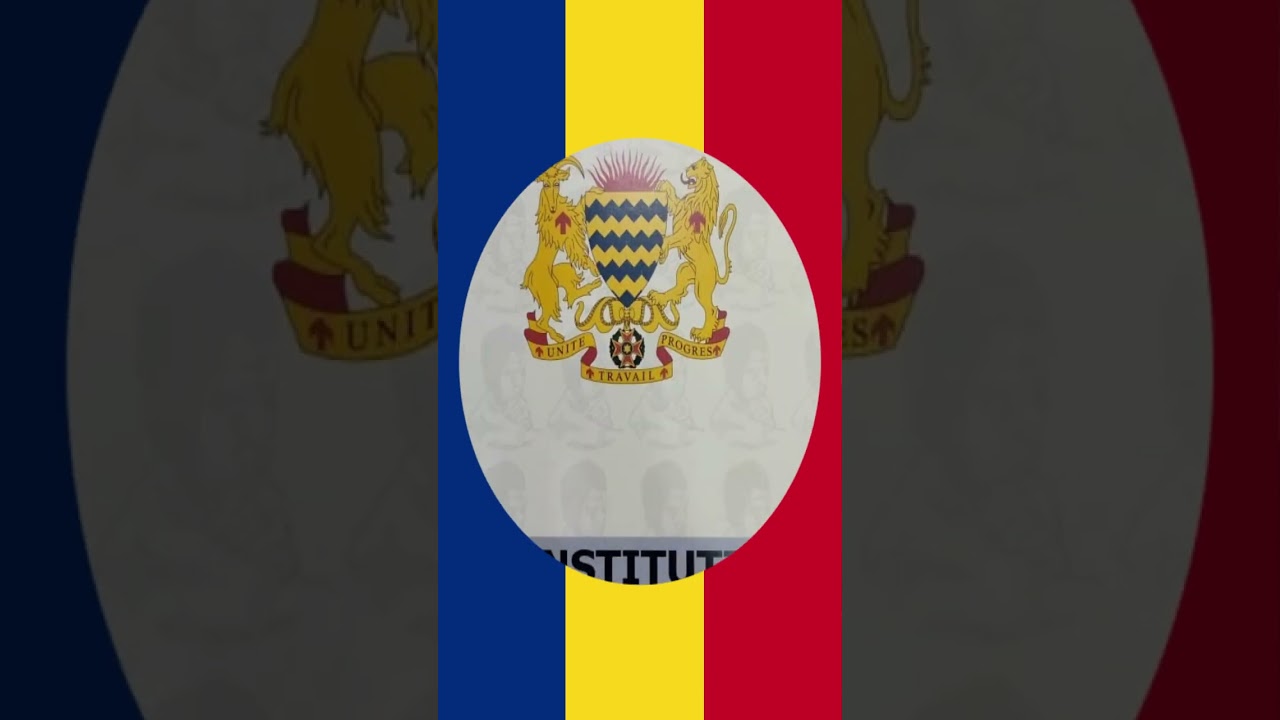 ¿Por qué Chad y Rumania tienen una bandera casi idéntica?