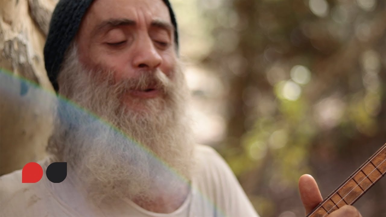 Özgür Baba - Can Dediğin Bir Kuştur