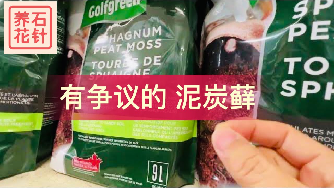 泥炭藓的几个特点 - 购买前，最好了解一下 - sphagnum peat moss