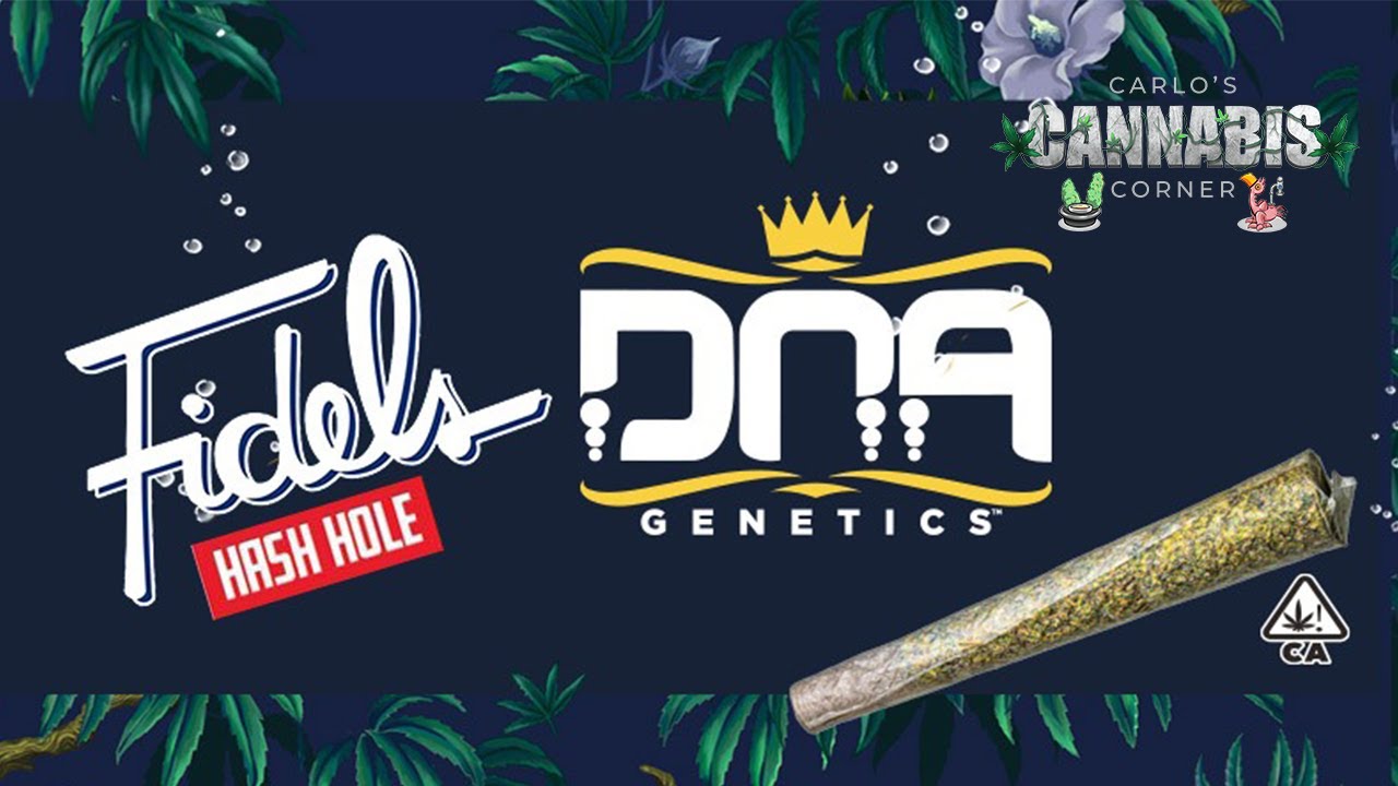 CCC Ep.30 Fidels DNA Genetics Hash Hole