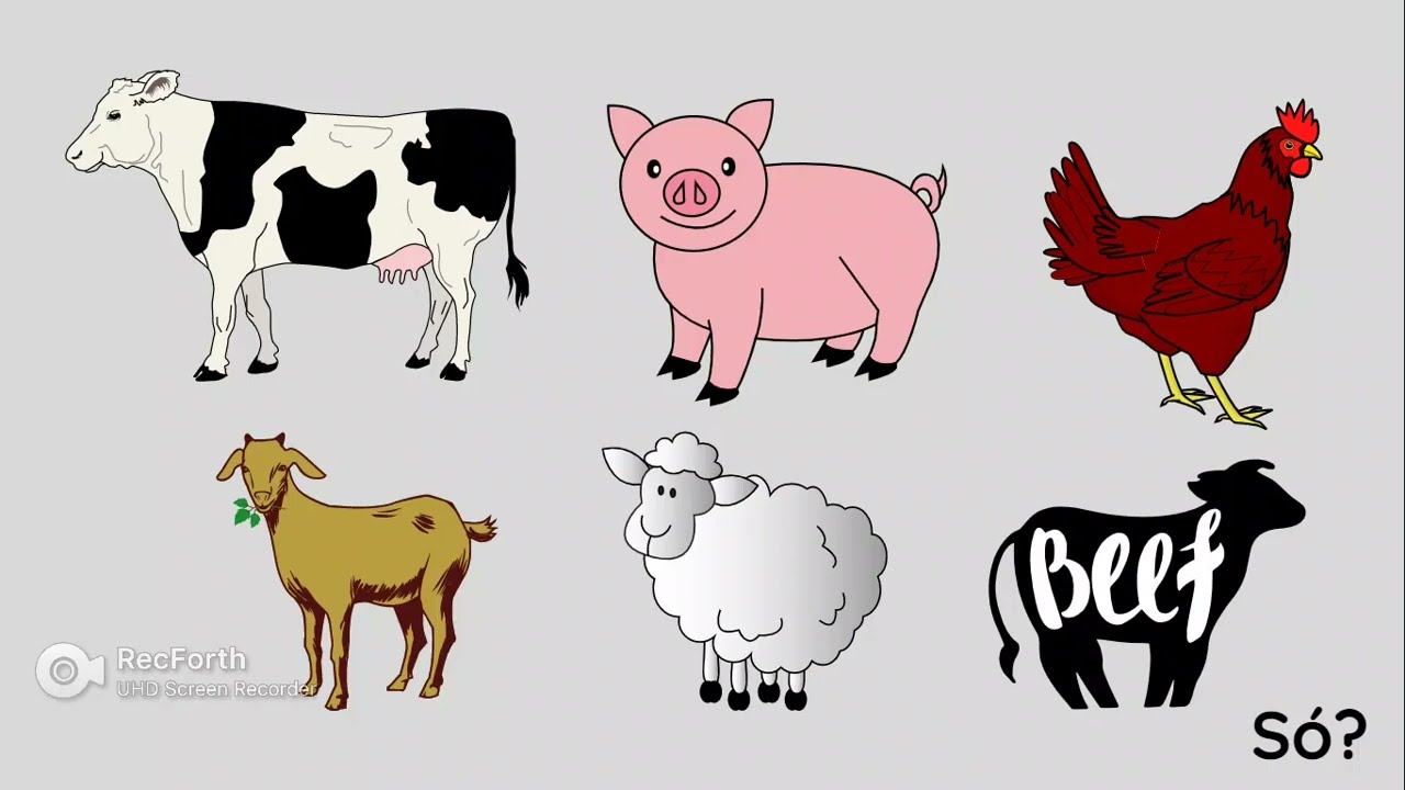Zootecnia ou Medicina Veterinária?