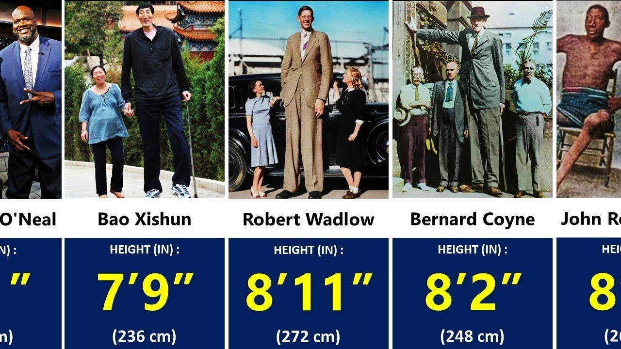 Tallest People in the World - Height Comparison