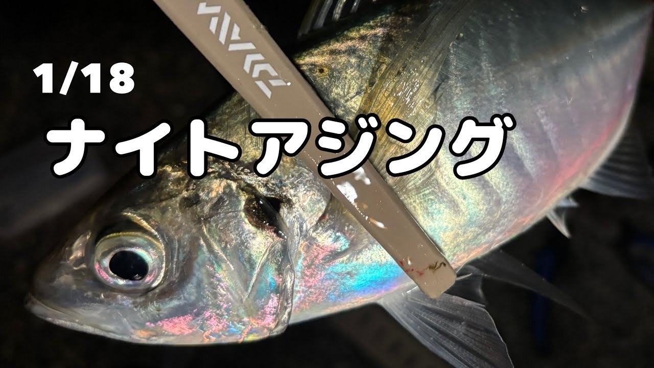 1/18ナイトアジング