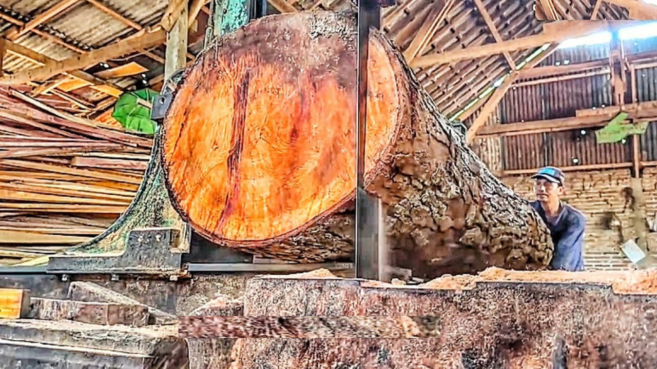 The Fast-Paced Process of Sawing a Massive Log at the Sawmill 👀🌳🪵