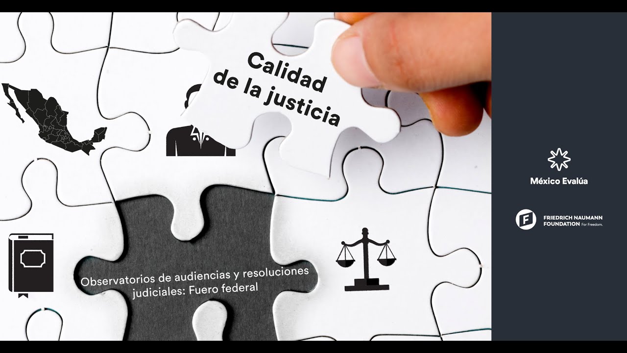 Observatorio de audiencias y resoluciones judiciales  Fuero federal