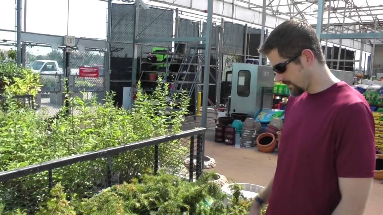 Trying Enchroma Color Blind Glasses for the first time